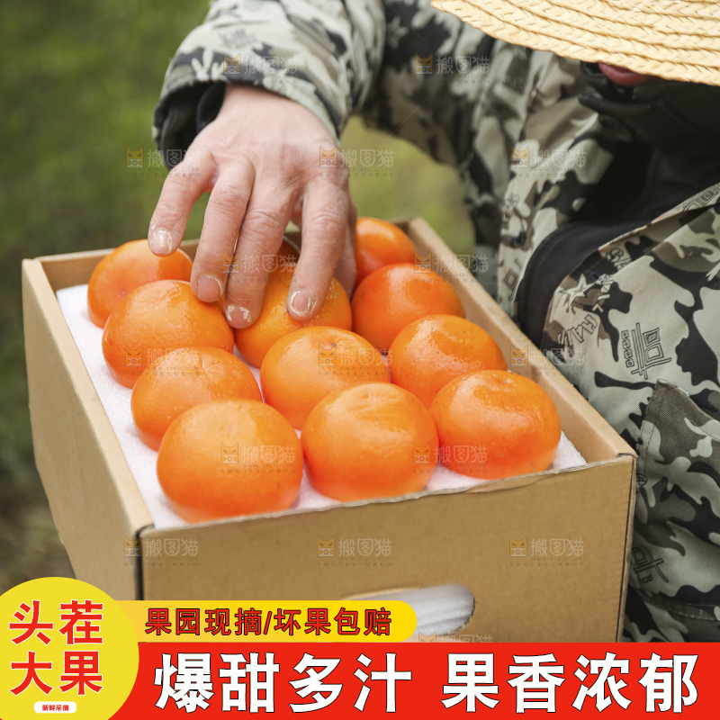 手里拿着沃柑