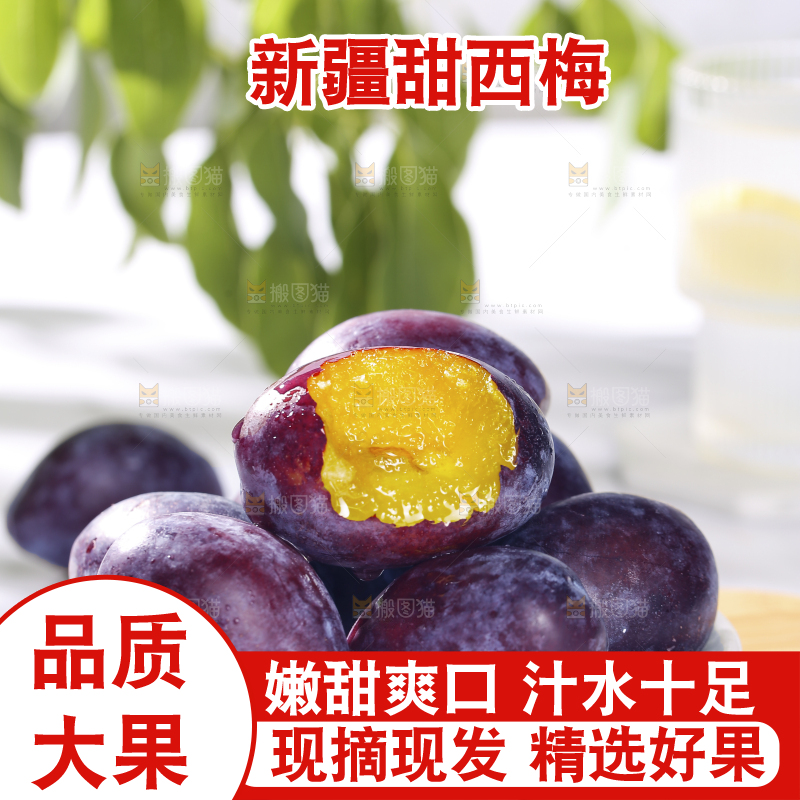 浅底上的西梅
