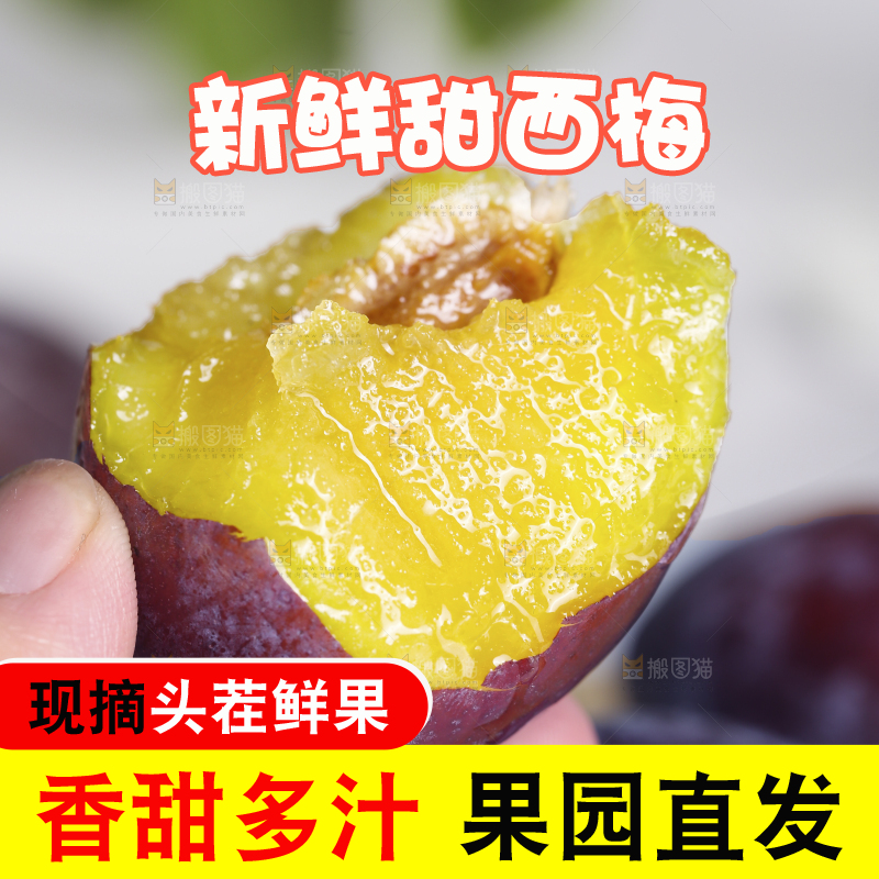 浅底上的西梅