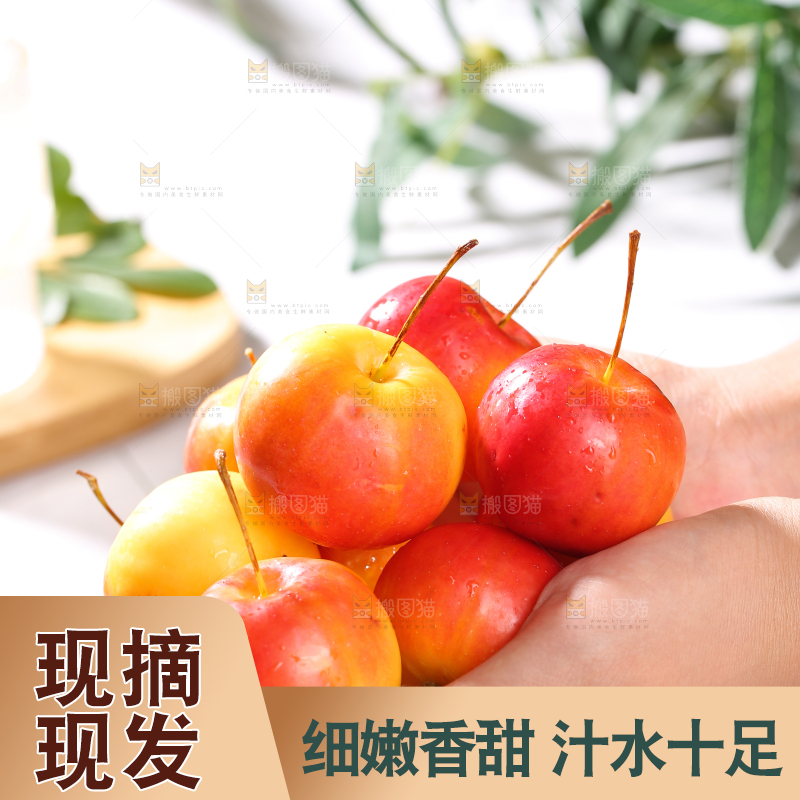 浅底上的海棠果