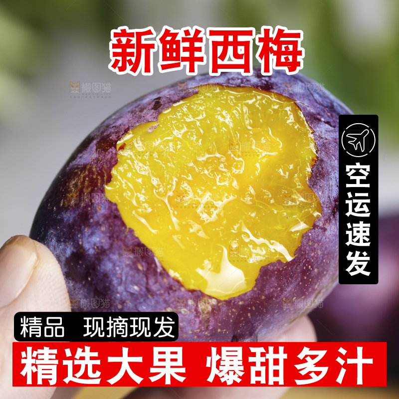 浅底上的西梅