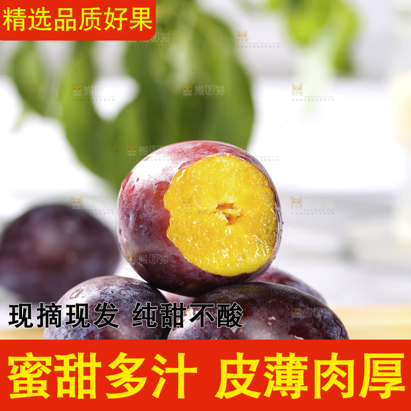 浅底上的西梅
