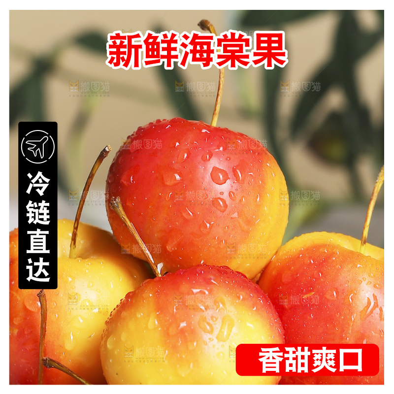 浅底上的海棠果