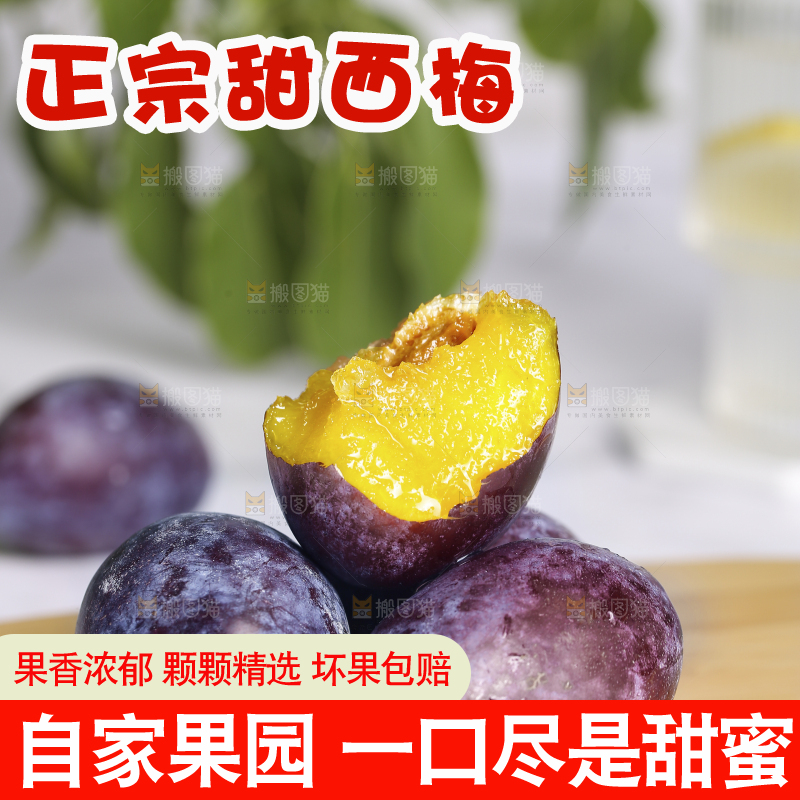 浅底上的西梅