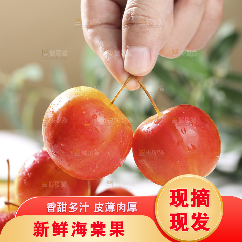 浅底上的海棠果