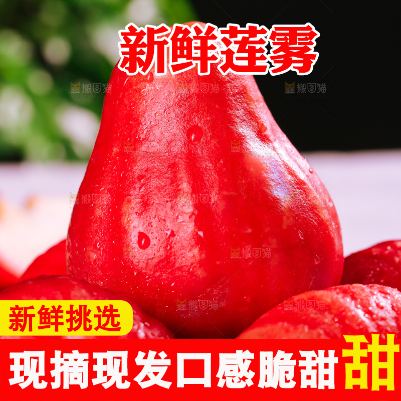 浅底上的莲雾