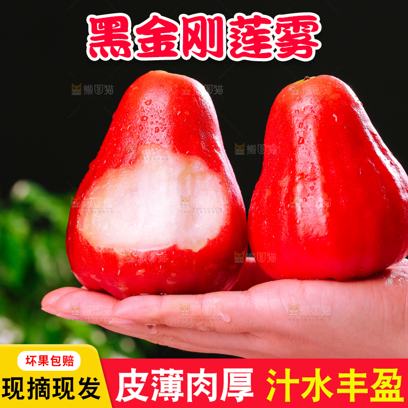 浅底上的莲雾