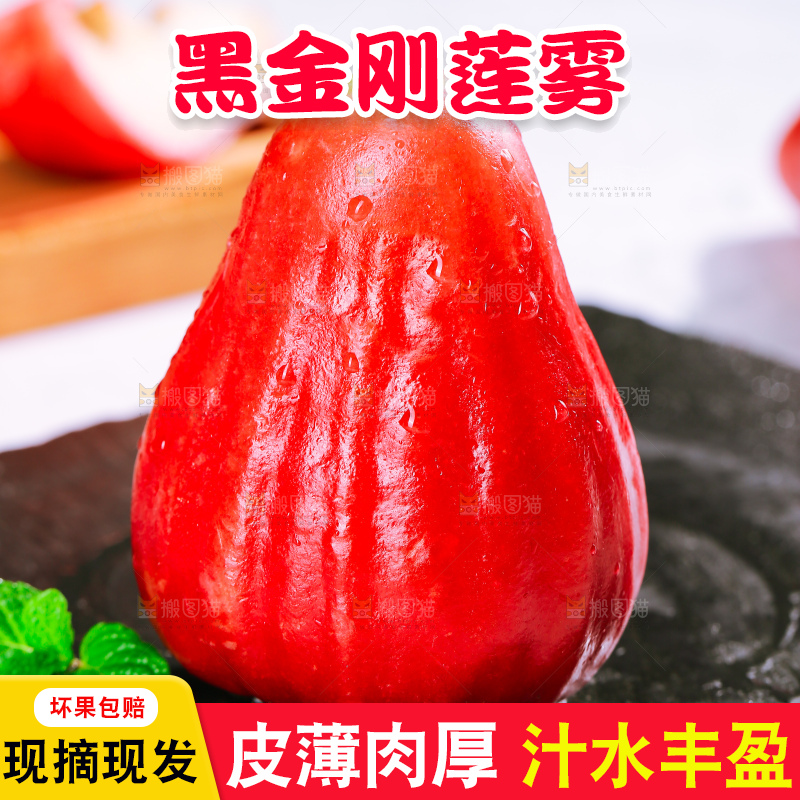 浅底上的莲雾