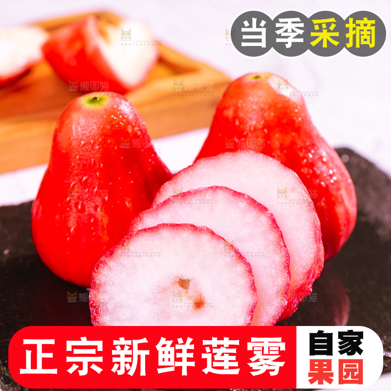 浅底上的莲雾