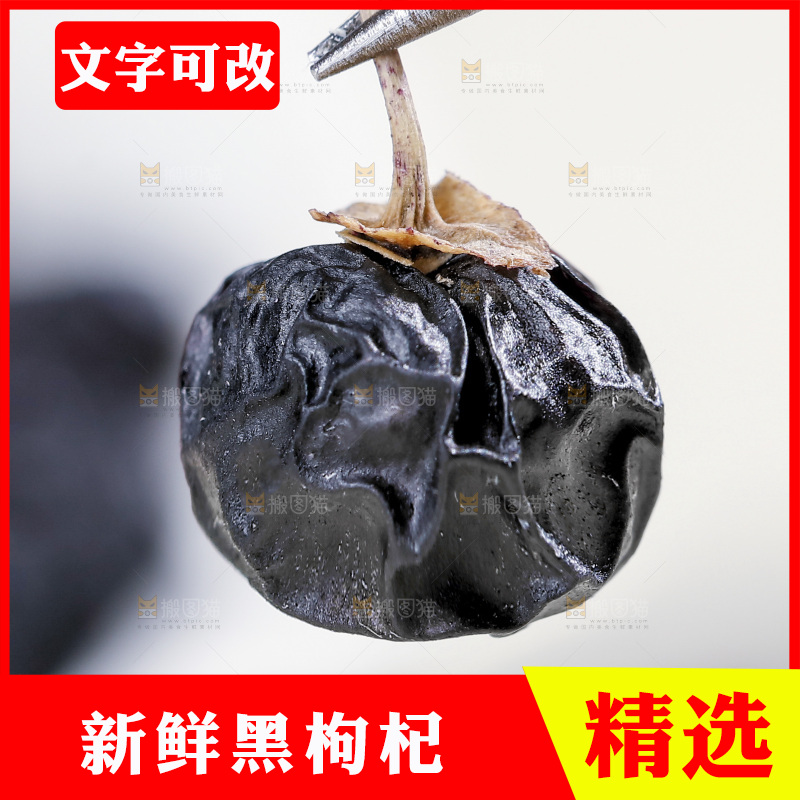 浅底上的黑枸杞