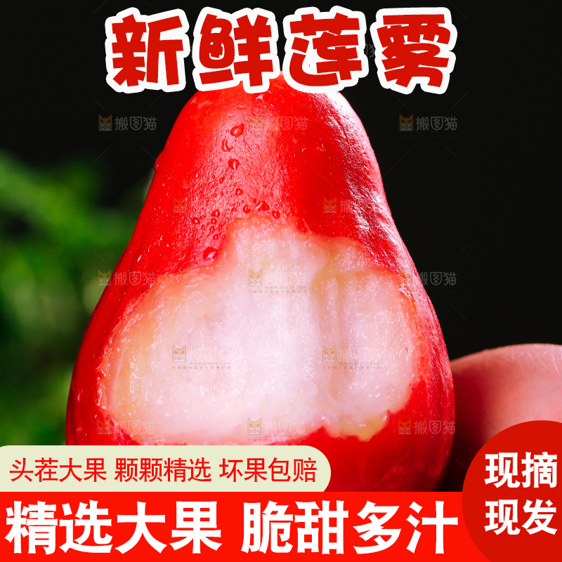 浅底上的莲雾