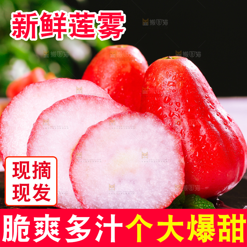 浅底上的莲雾