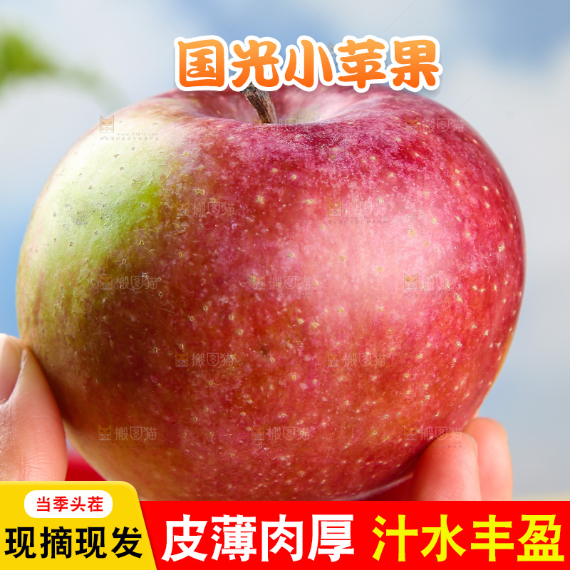 浅底上的国光苹果