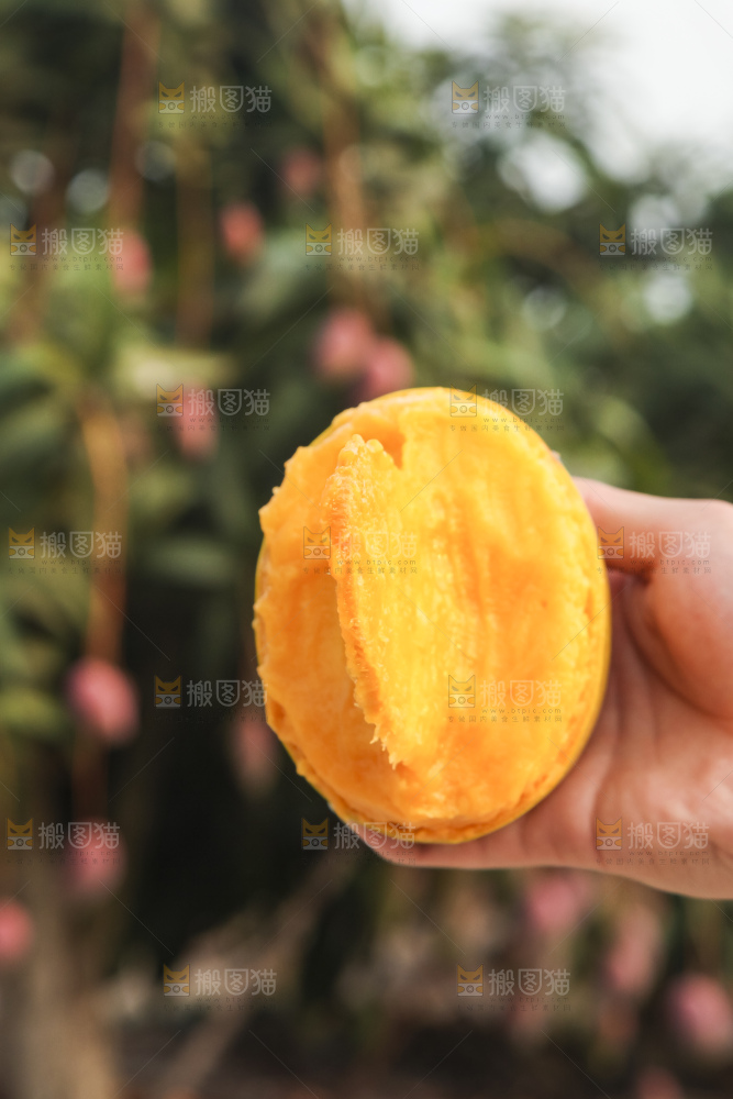 手里拿着金煌芒