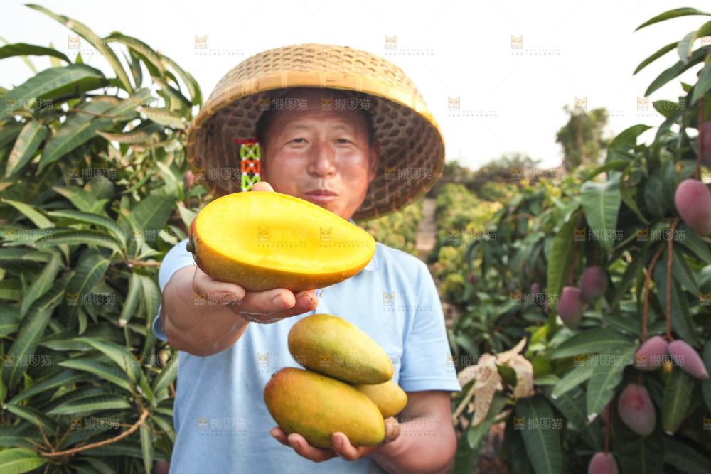 手里拿着金煌芒