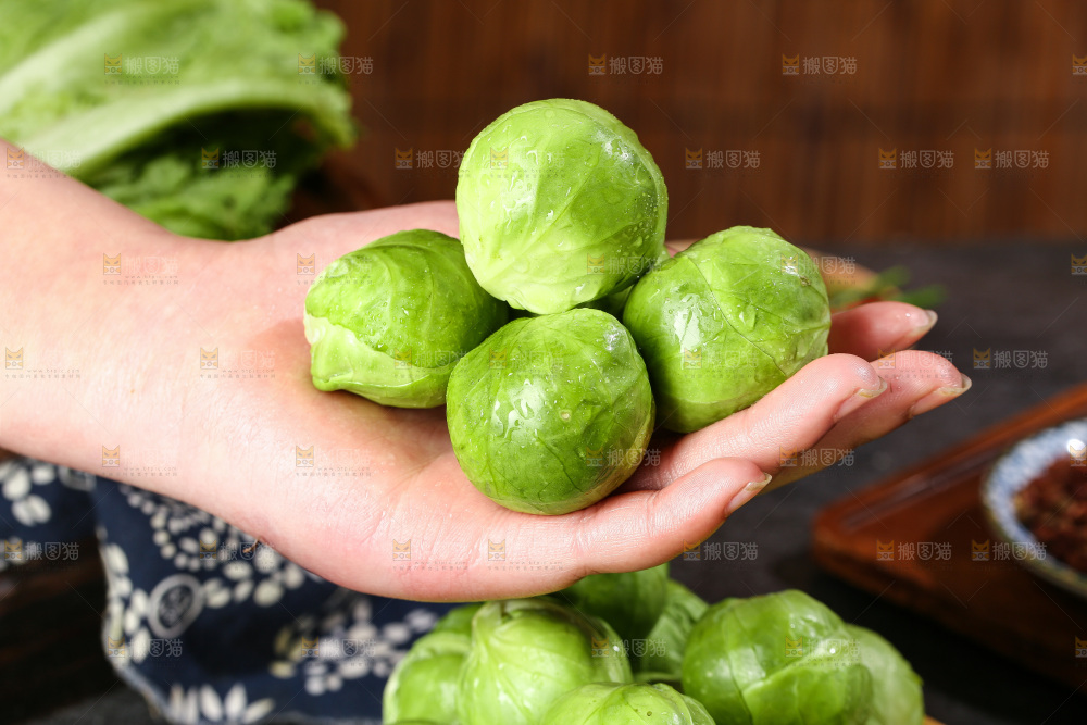 深底上的孢子甘蓝
