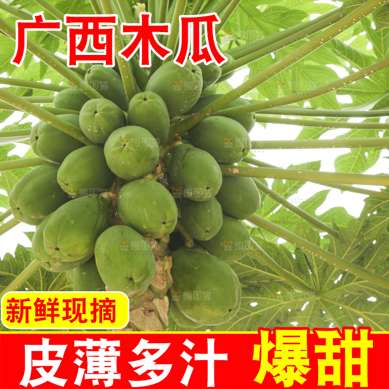 树上的木瓜
