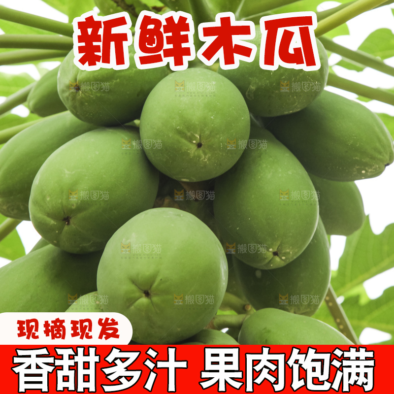 树上的木瓜