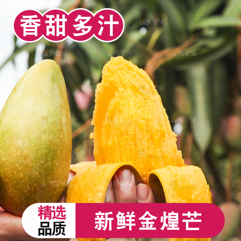 手里拿着金煌芒