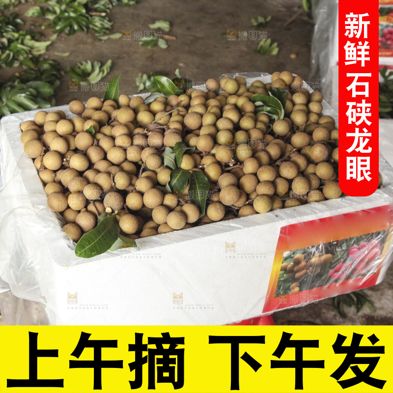 树上的新鲜龙眼