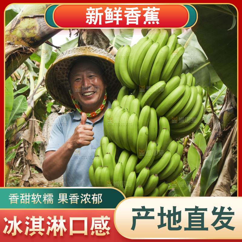 树上的新鲜香蕉