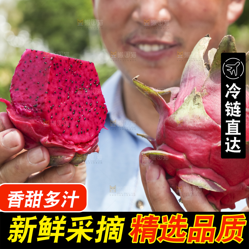 火龙果产地