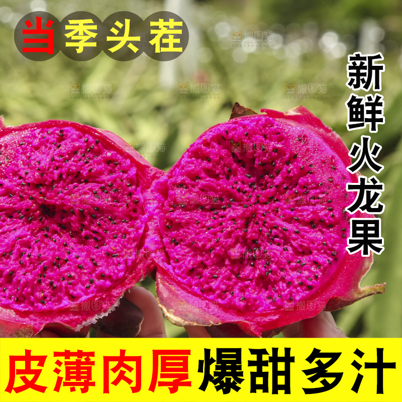 火龙果产地