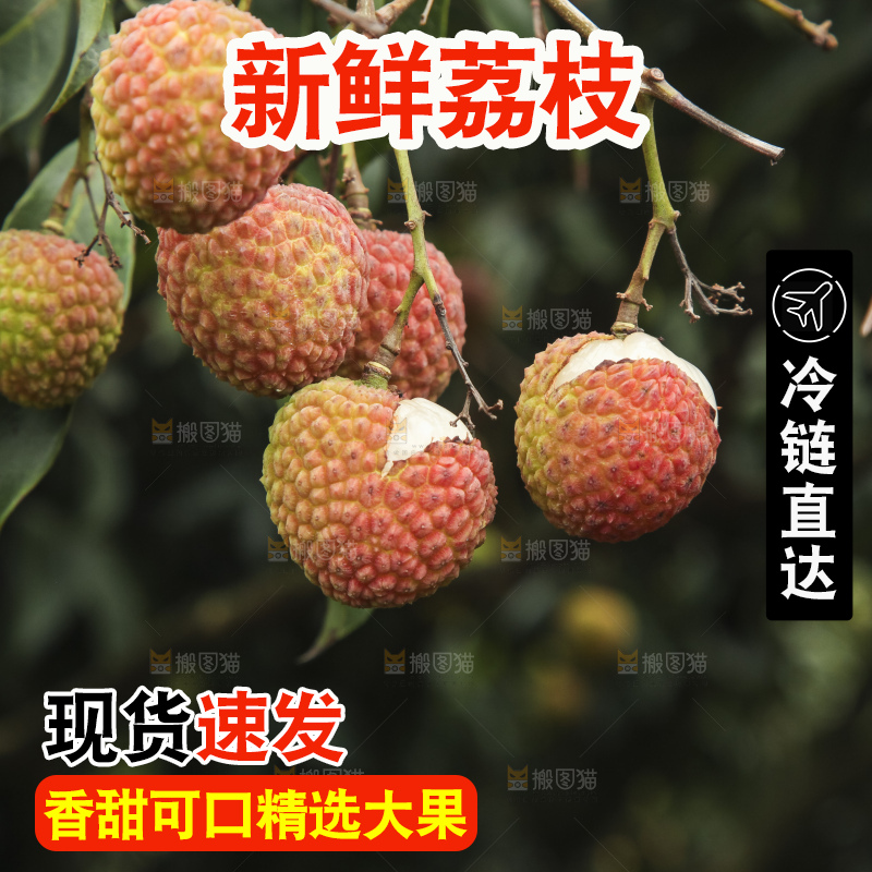 树上的荔枝
