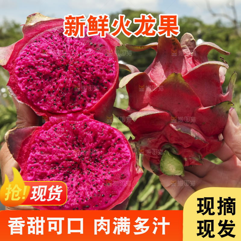 火龙果产地
