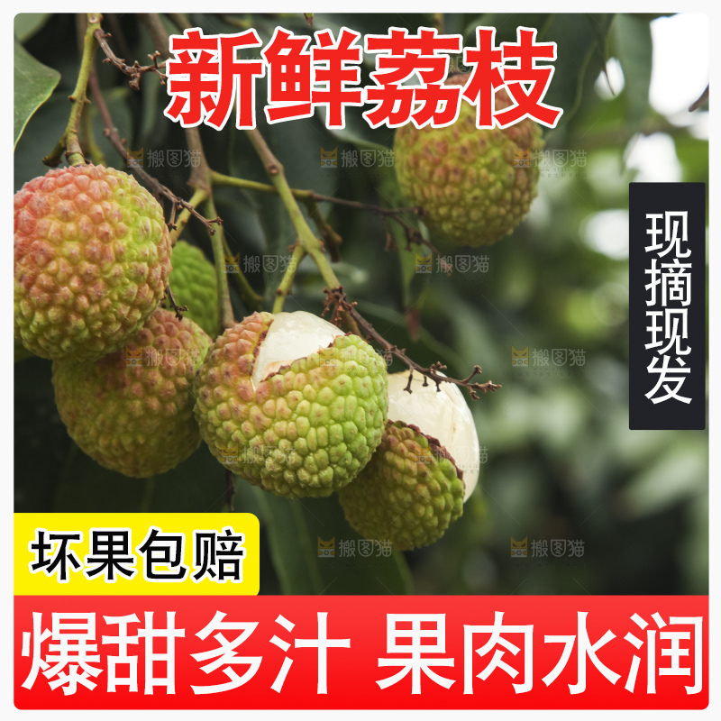 树上的荔枝