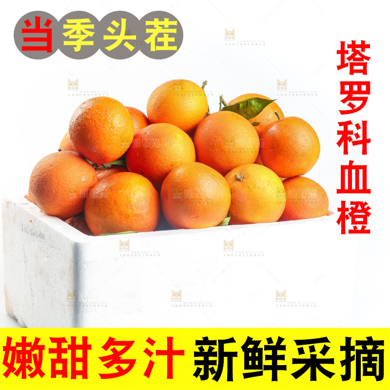 白底上的玫瑰血橙