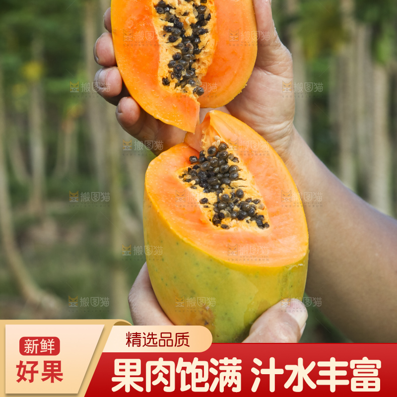 树上的木瓜