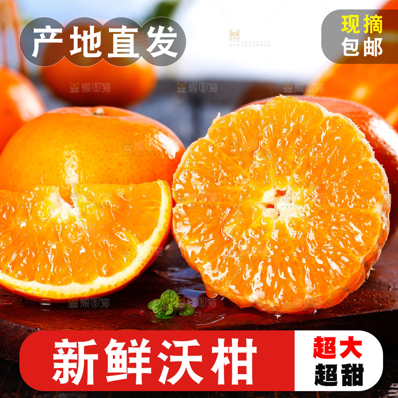 深底上的沃柑