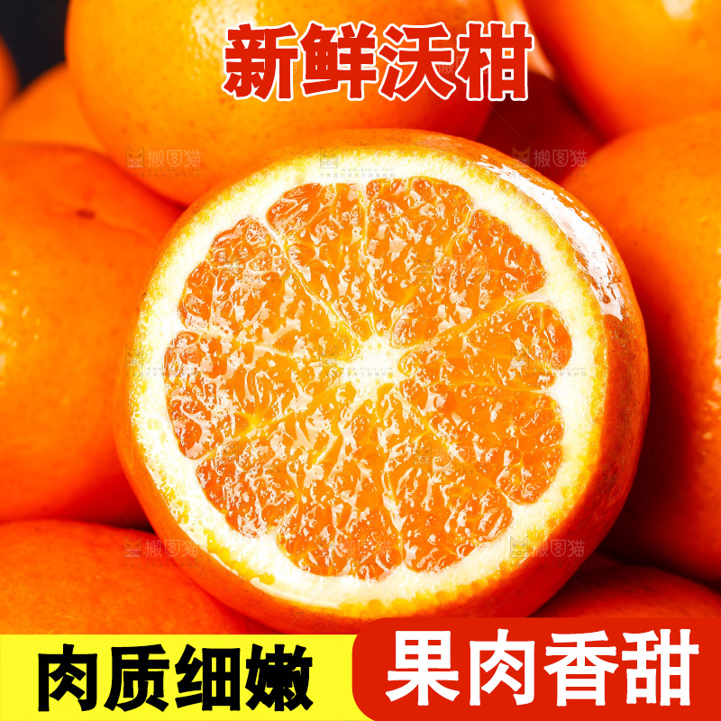 深底上的沃柑
