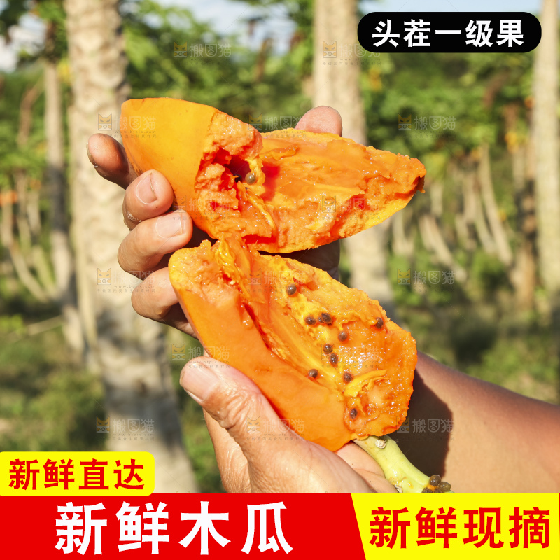 树上的木瓜
