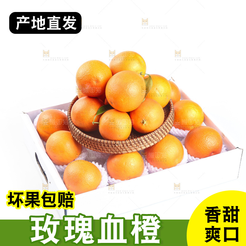 白底上的玫瑰血橙