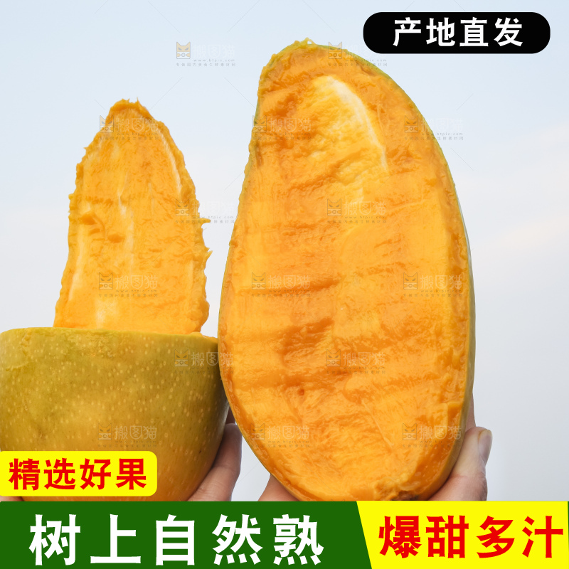 手里拿着金煌芒