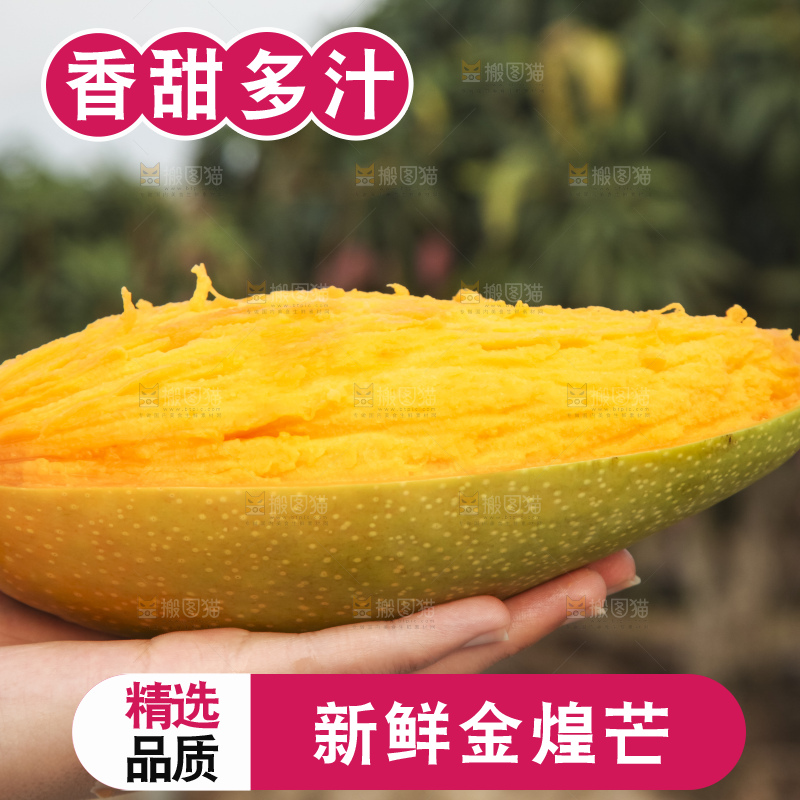 手里拿着金煌芒