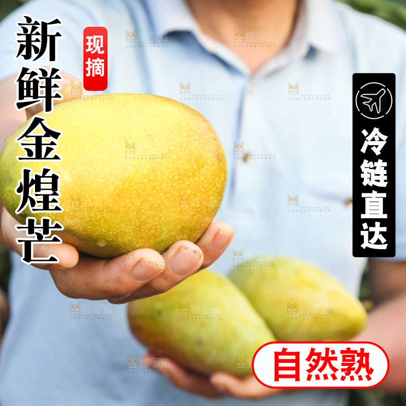手里拿着金煌芒