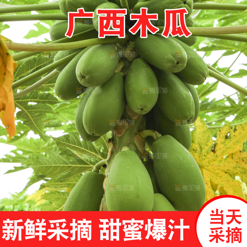 树上的木瓜