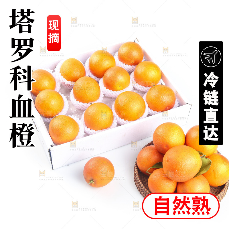 白底上的玫瑰血橙