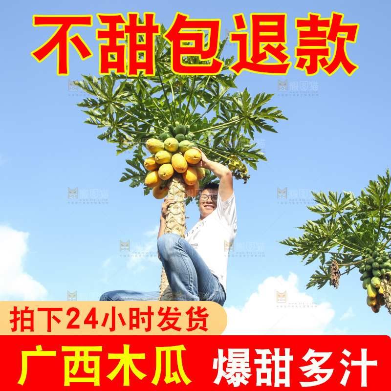 树上的木瓜