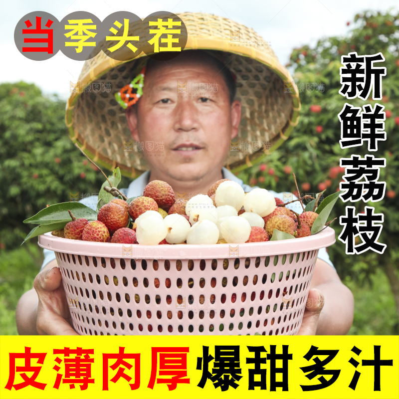 树上的荔枝