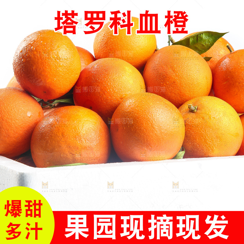 白底上的玫瑰血橙