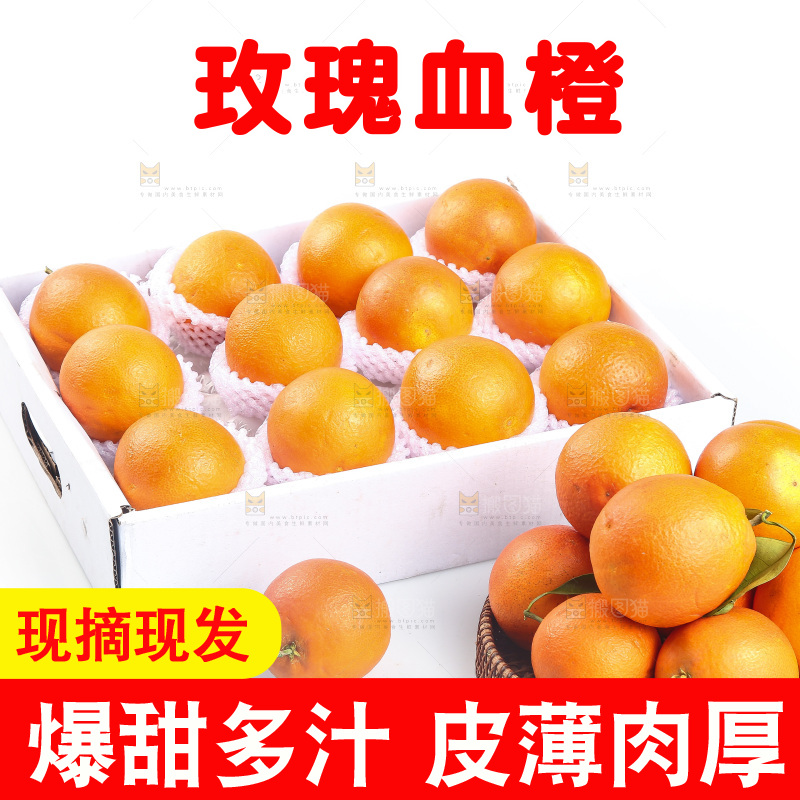 白底上的玫瑰血橙