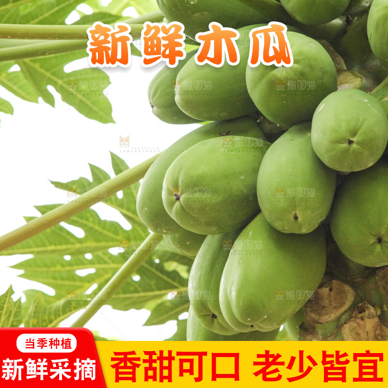 树上的木瓜