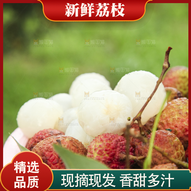 树上的荔枝