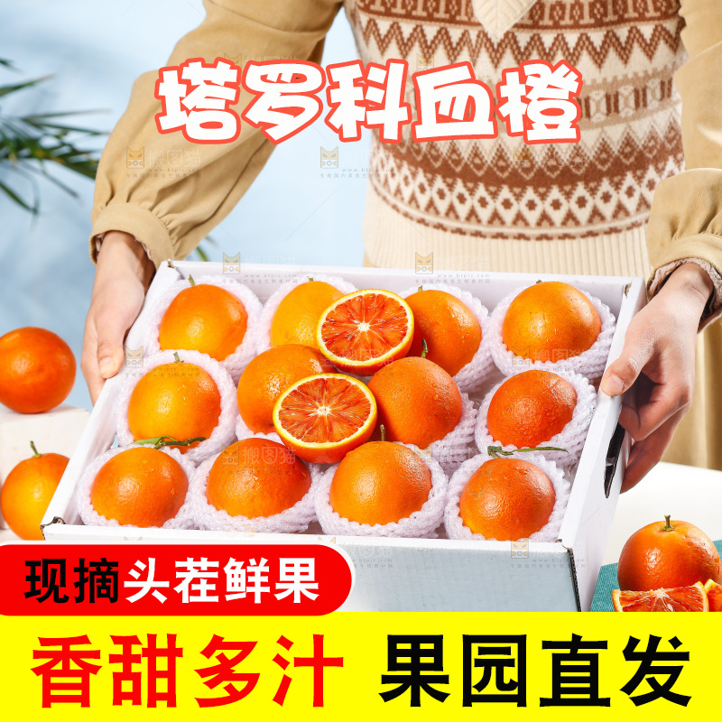 浅底上的塔罗科血橙