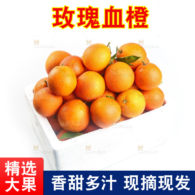 白底上的玫瑰血橙