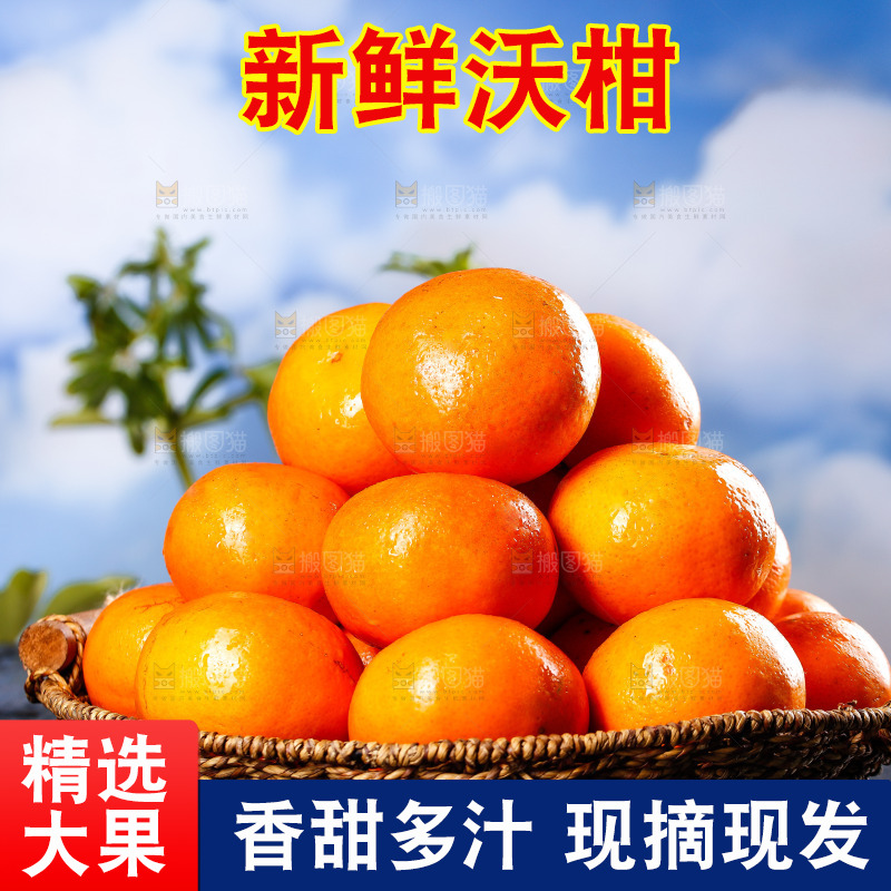 深底上的沃柑